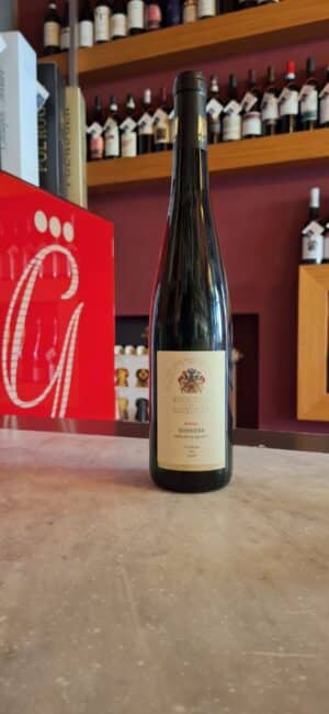 Riesling Feinherb Domherr Grosse Lage ’18 - Reicchsgraf Von Kasselstatt