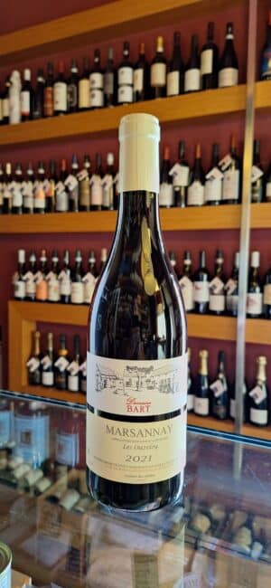 Marsannay Les Ouzeloy ’21 - Domaine Bart