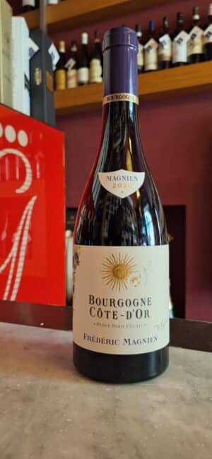 Bourgogne Côte-D’Or Pinot Noir Fééric ’20 - Frédéric Magnien