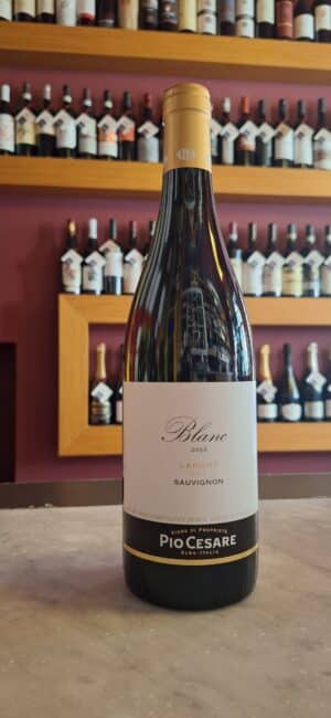 Langhe Sauvignon Blanc '23 - Pio Cesare