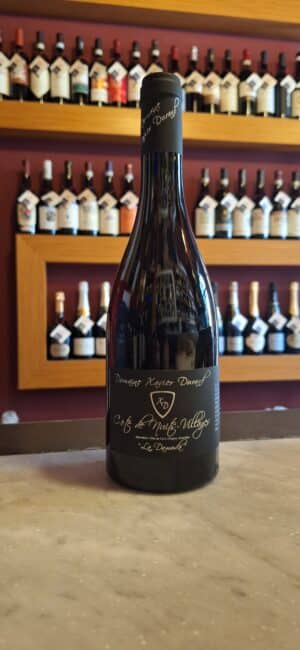 Bourgogne Côte de Nuits Pinot Noir La Damoda ’22 - Xavier Durand