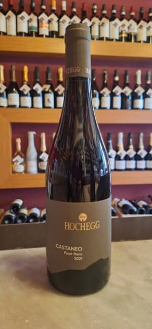 Alto Adige Pinot Nero Castaneo ’21 - Hochegg/Andergassen Daniel