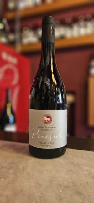 Alto Adige Pinot Nero Praesulis ’23 - Gumphof/Markus Prakwieser